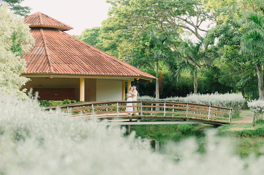 Descripción de la imagen 14